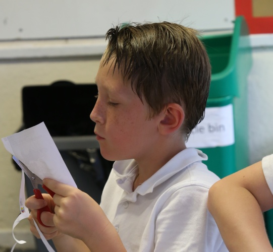CURRICULUM